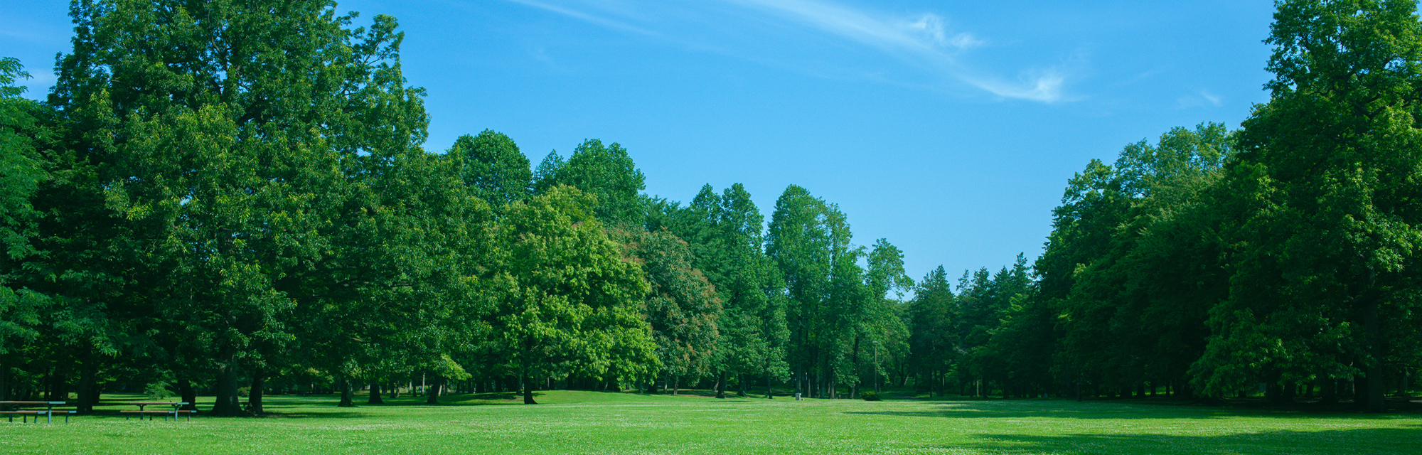 有限会社グリーンオーナーシステム