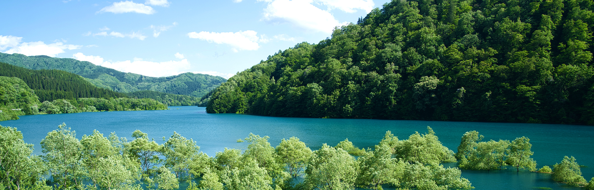 有限会社グリーンオーナーシステム